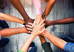 Flourishing Organisational Citizenship Behaviour through Job Characteristics